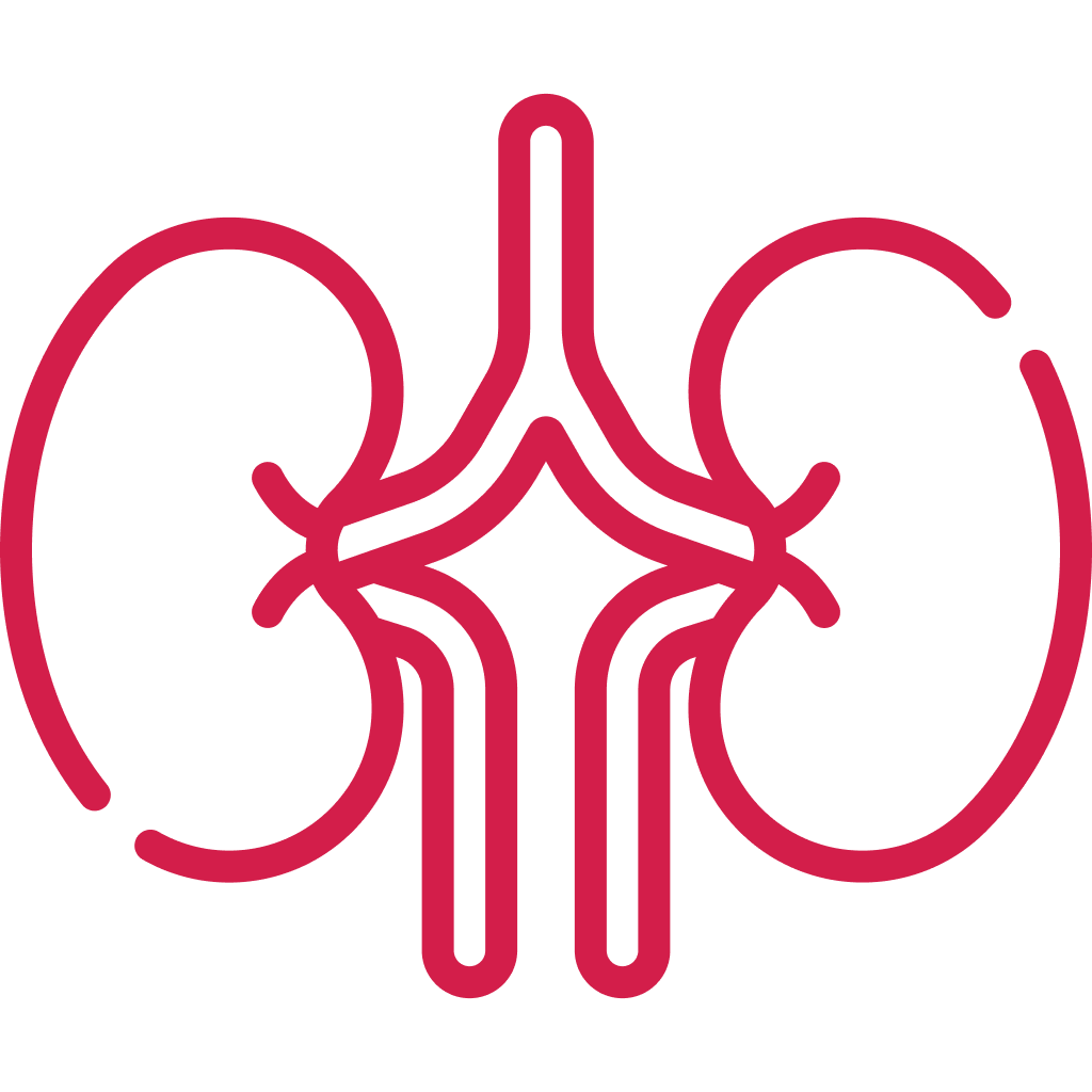 Ultrasound For Kidney