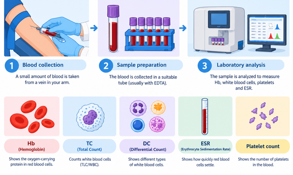 Hb, TC, DC, ESR and platelet blood test procedure