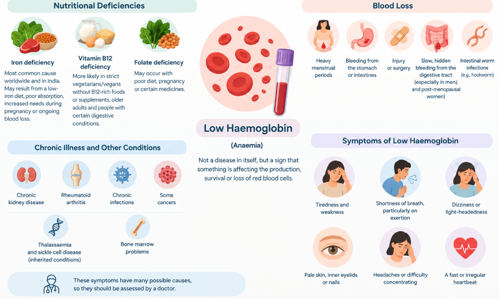 Causes of low haemoglobin levels in blood